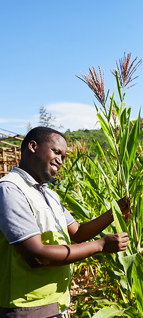 밝게 웃고잇는 전세계 아이들