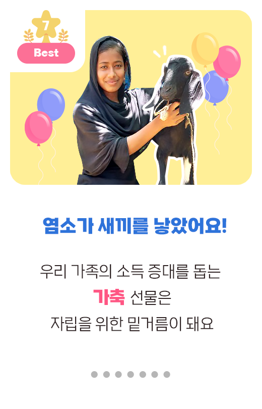 염소가 새끼를 낳았어요!