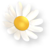 꾸미기 일러스트
