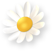 꾸미기 일러스트